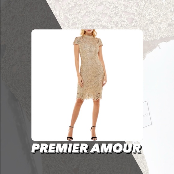 premier amour Dresses & Skirts - NWT Premier Amour Short Sleeve Sheath Lace Dress
